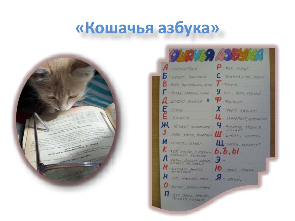 животные в виде букв. коте алфавит. кошачья письменность. буква о в форме котика. буквы в виде зверей.